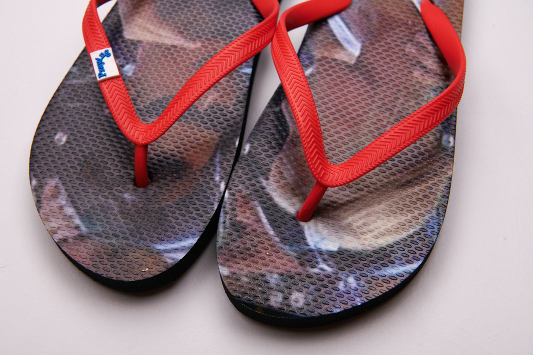 Explain Sandals