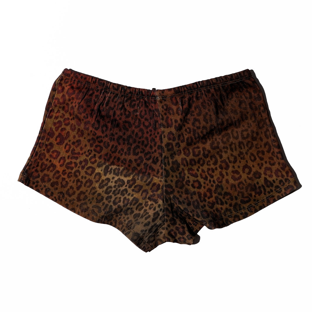 Cross pointelle shorts Cheetah