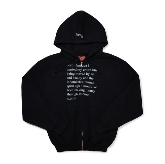 Internet Scams Hoodie